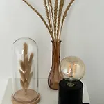 Parkzicht Rez De Chausse Apartment *